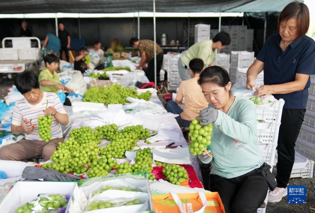 银河游戏厅上分